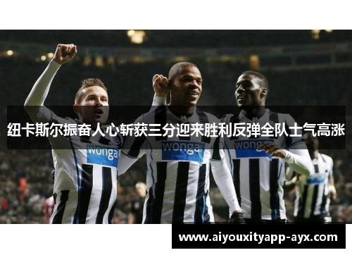 纽卡斯尔振奋人心斩获三分迎来胜利反弹全队士气高涨