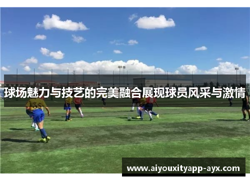 球场魅力与技艺的完美融合展现球员风采与激情