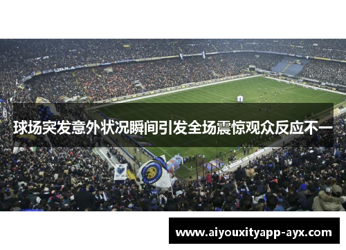 球场突发意外状况瞬间引发全场震惊观众反应不一