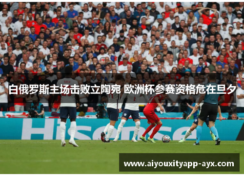 白俄罗斯主场击败立陶宛 欧洲杯参赛资格危在旦夕