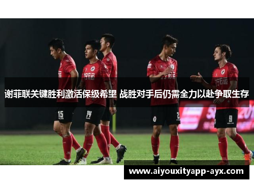 谢菲联关键胜利激活保级希望 战胜对手后仍需全力以赴争取生存