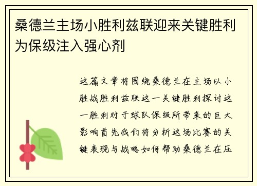 桑德兰主场小胜利兹联迎来关键胜利为保级注入强心剂