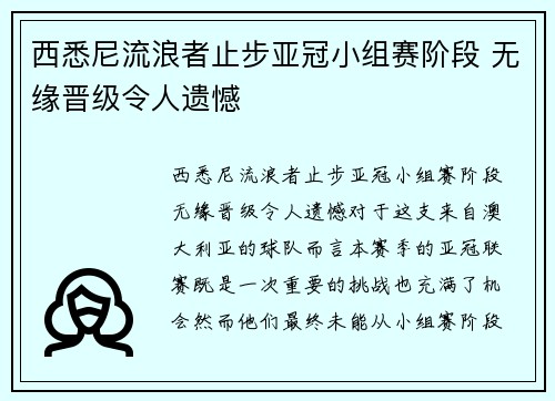 西悉尼流浪者止步亚冠小组赛阶段 无缘晋级令人遗憾