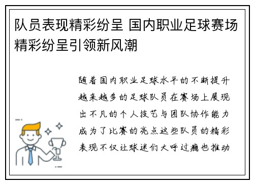 队员表现精彩纷呈 国内职业足球赛场精彩纷呈引领新风潮