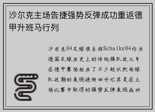 沙尔克主场告捷强势反弹成功重返德甲升班马行列